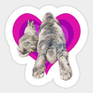 Adorable 'bunny butt' painting on a vibrant heart! Sticker